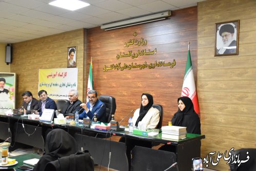 ایجاد روستا بازار برای ارایه دستاورد های روستاییان درحال پیگیری است